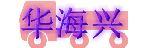 深圳市华海兴物流有限公司