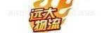 武汉世纪远大物流有限公司