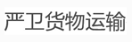 沈阳严卫货运有限公司