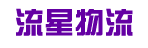 广东流星物流公司
