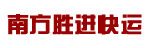 东莞市南方胜进快运有限公司