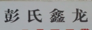 彭氏鑫龙物流公司