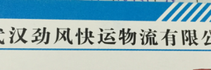 武汉劲风快运物流有限公司