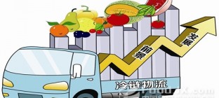 我国农产品冷链物流发展的问题及措施分析