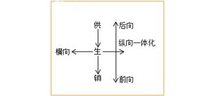 横向一体化分析
