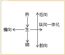 横向一体化分析