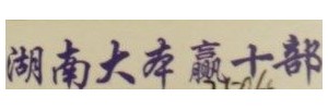 湖南大本营十部展博（源鸿发）