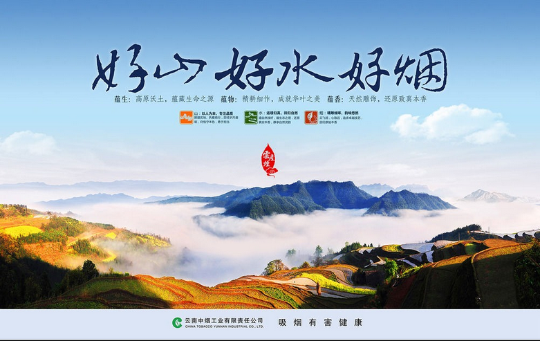 云南中烟