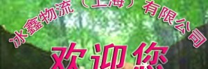 上海冰鑫物流有限公司
