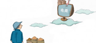 线上线下融合和农村电商是内贸流通的重要发展趋势