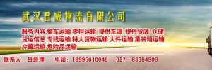 武汉顺嘉宜物流有限公司