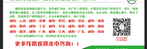 威海金兔兔物流有限公司