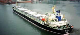 海运物流公司