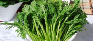 春节后20款最佳排毒食物
