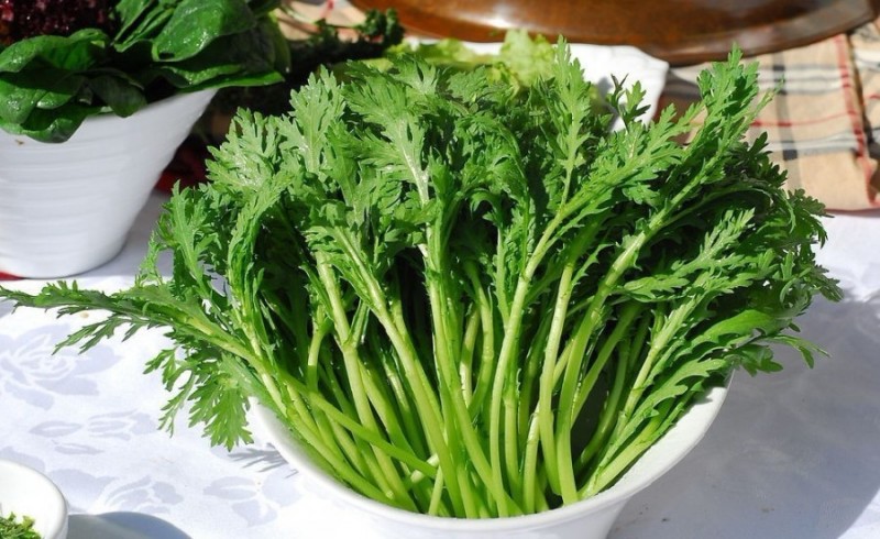 春节后20款最佳排毒食物