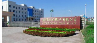 焦作瑞丰纸业有限公司2016年烧碱线路运输服务二次询价采购公告