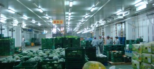 沃尔玛扩建深圳物流配送中心