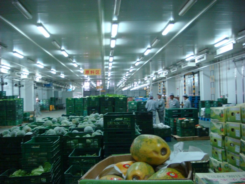 食堂物资采购竞价公告