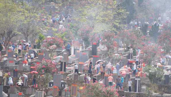 深圳市55万群众清明祭扫