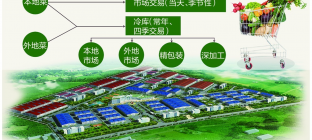 农产品物流配送系统