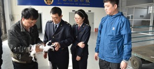 河北首个国际快件分拣中心试运行，今后国际快件可直接入冀