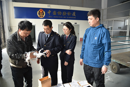 河北首个国际快件分拣中心试运行，今后国际快件可直接入冀