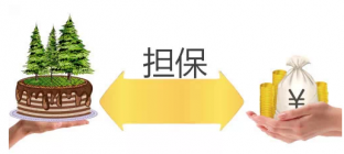 担保的方式有哪些