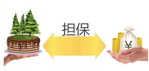 担保的方式有哪些