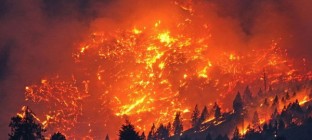 加拿大山火肆虐致8万人逃离 当地进入紧急状态