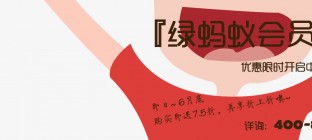 绿蚂蚁旗舰店线路置顶优惠公告