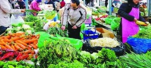 京津冀最大食品供应冷链项目签约，年交易额约240亿元