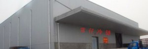 深圳市常仔冷藏货运有限公司