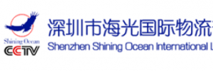 深圳市海光国际物流有限公司