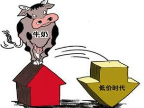 奶价持续下行奶业遇阵痛 有地方开始用鲜奶喂猪