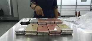 深圳海关查获400余台走私iPhone7 案值超300万