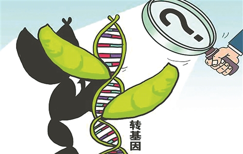 “转基因检测造假”举报人：不认同农业部部分结论