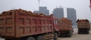 二中广场项目建筑渣土清运工程竞价招标公告