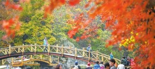 旅游局整治不合理低价游：关闭一批失信旅游网站
