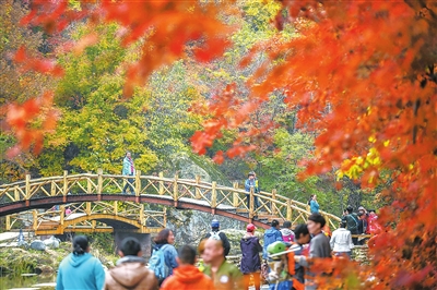 旅游局整治不合理低价游：关闭一批失信旅游网站