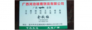 广西河池雄鹰物流有限公司
