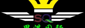深圳市思淇国际物流有限公司