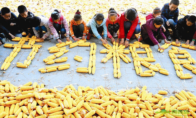中科院：中国每年浪费食物1700万至1800万吨