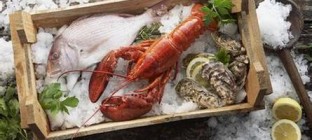 湖南省沅陵碣滩茶业有限公司冷链物流中心建设项目招标公告招标公告