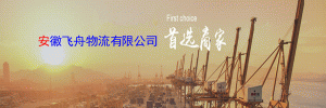 安徽飞舟物流有限公司