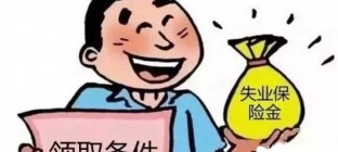 人社部负责人回应：失业保险金 最多领两年