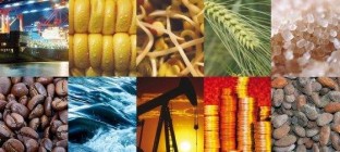 2017年5月份中国大宗商品指数为103.8%